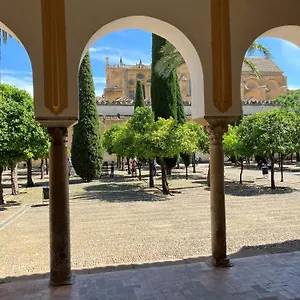 Precioso Junto A La Mezquita , Córdoba España